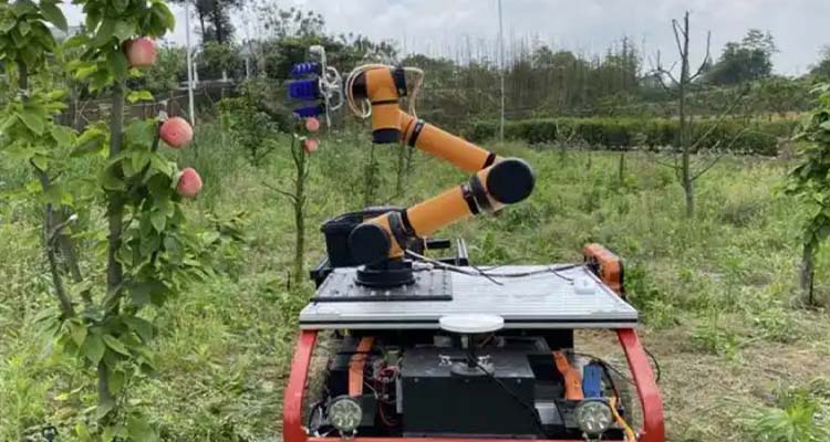 Where can I get custom robot wiring harnesses?